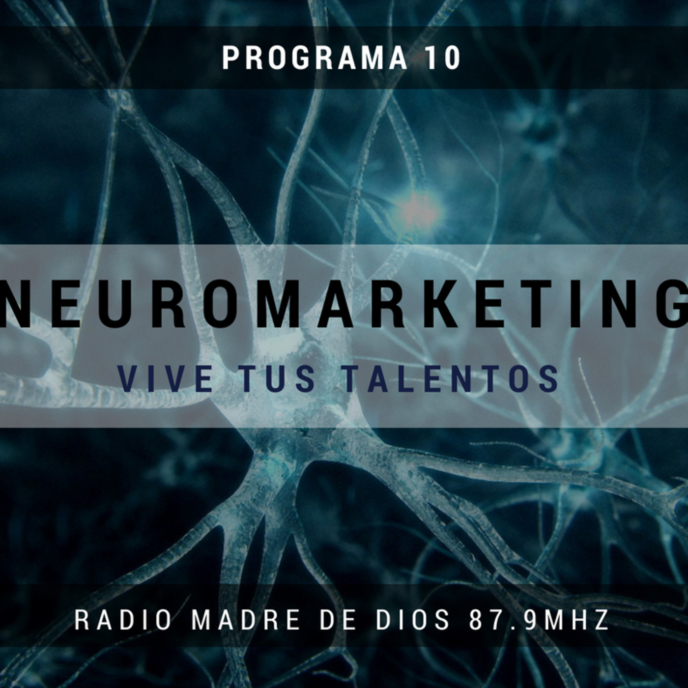 Vive Tus Talentos - Deideas Consultora
