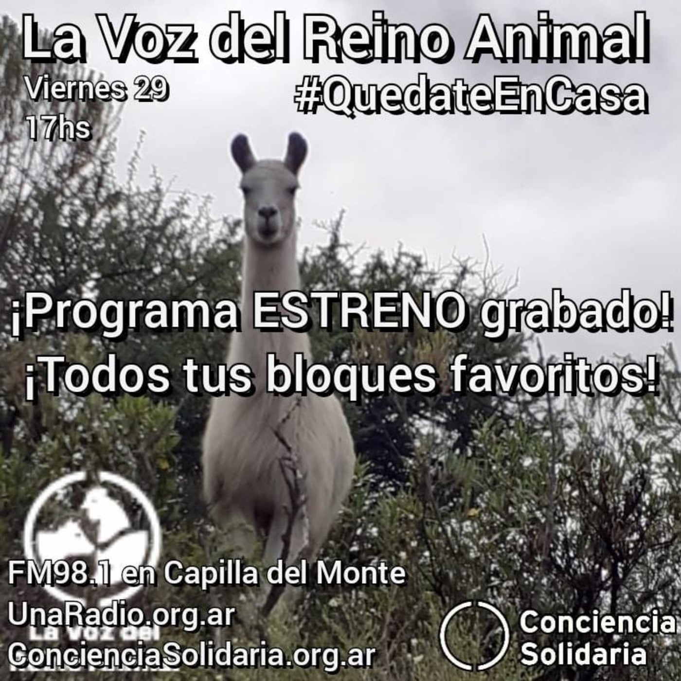 #LaVozDelReinoAnimal 29.05.2020 episode artwork