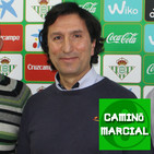 CAMINO MARCIAL nº87 - François Di Guardia (Hapkido)