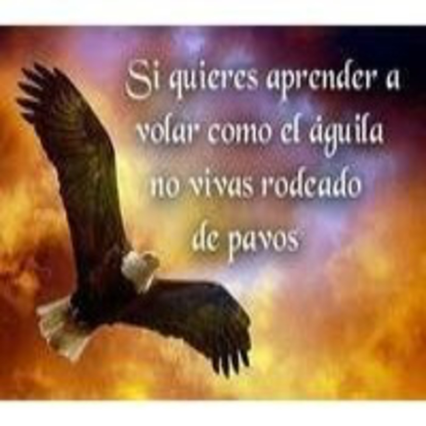 Rosa M Rodriguez Internet Marketer