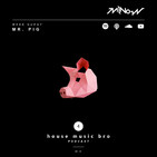 house music bro #4 Que es MixThemAll? (Mr Pig)