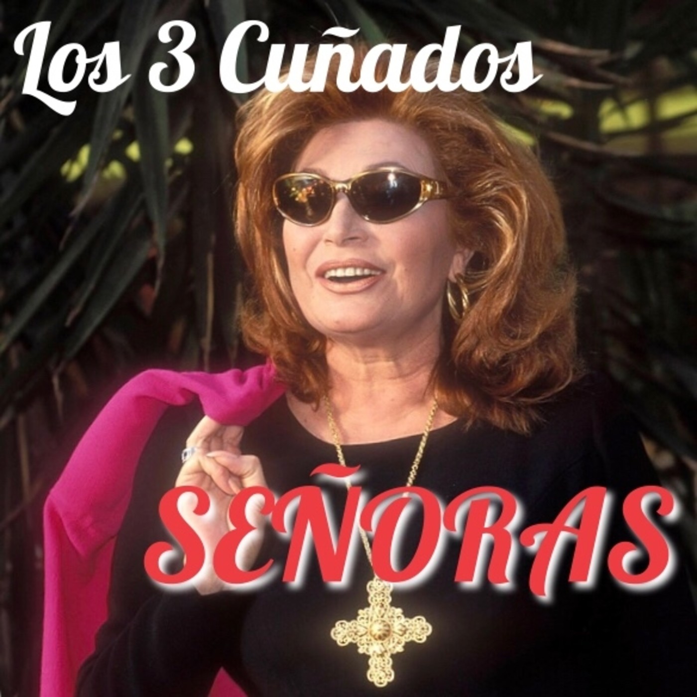 Los 3 Cuñados programa 49 - SEÑORAS