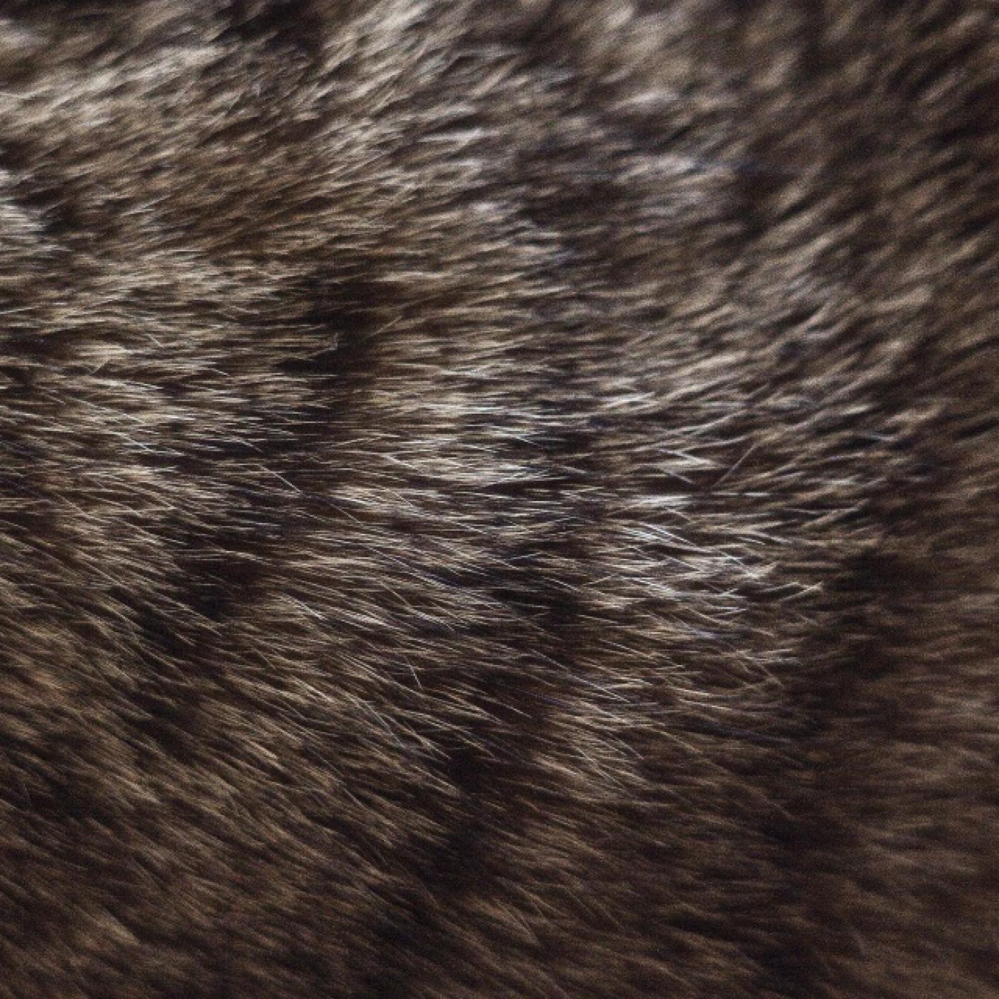 //Fanzin Photomaton Radial//