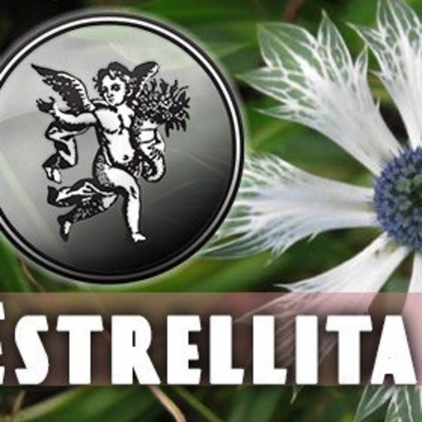 El Ángel de tu Salud - ESTRELLITA II episode artwork