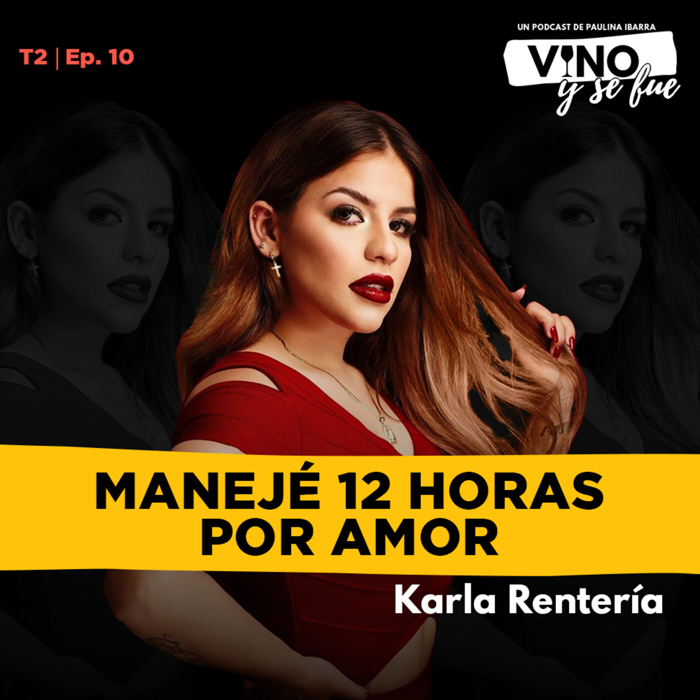 Vino y se fue