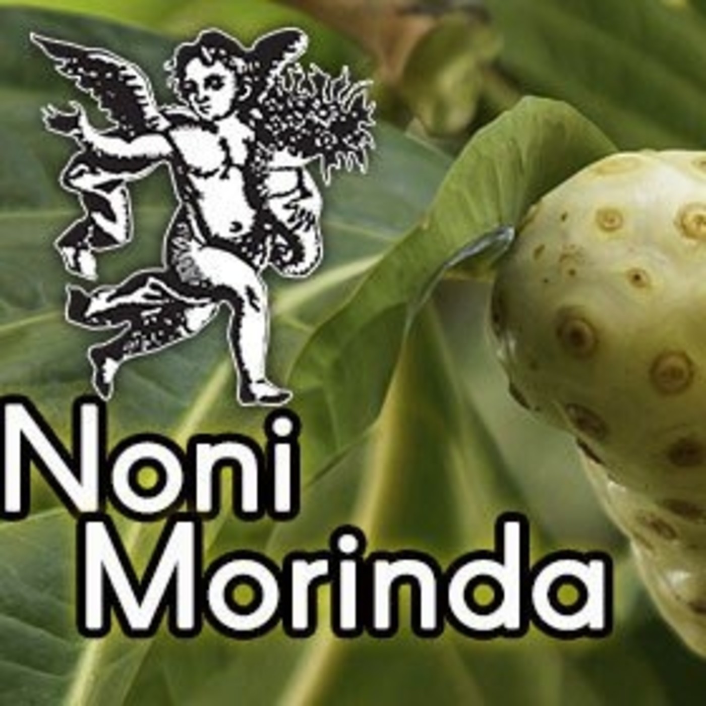 EL ÁNGEL DE TU SALUD- NONI MORINDA episode artwork