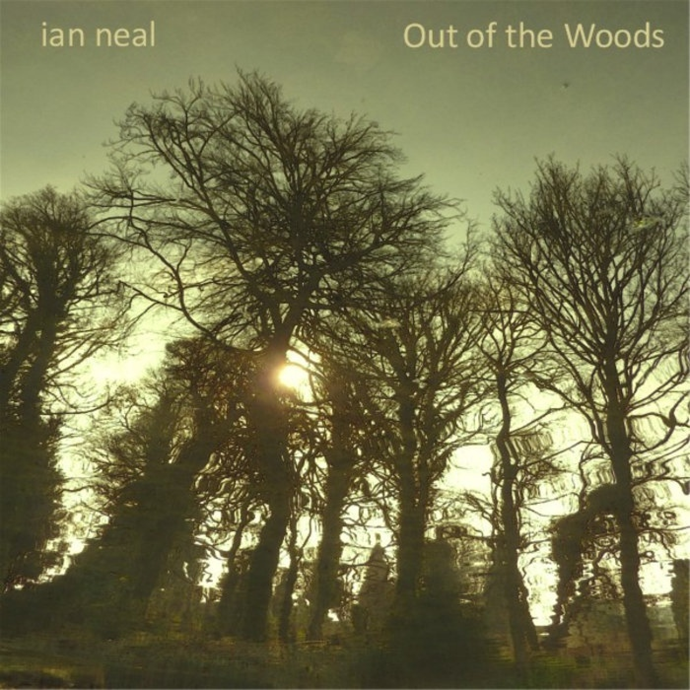 628 - Ian Neal - Out of the Woods (2011) episode artwork