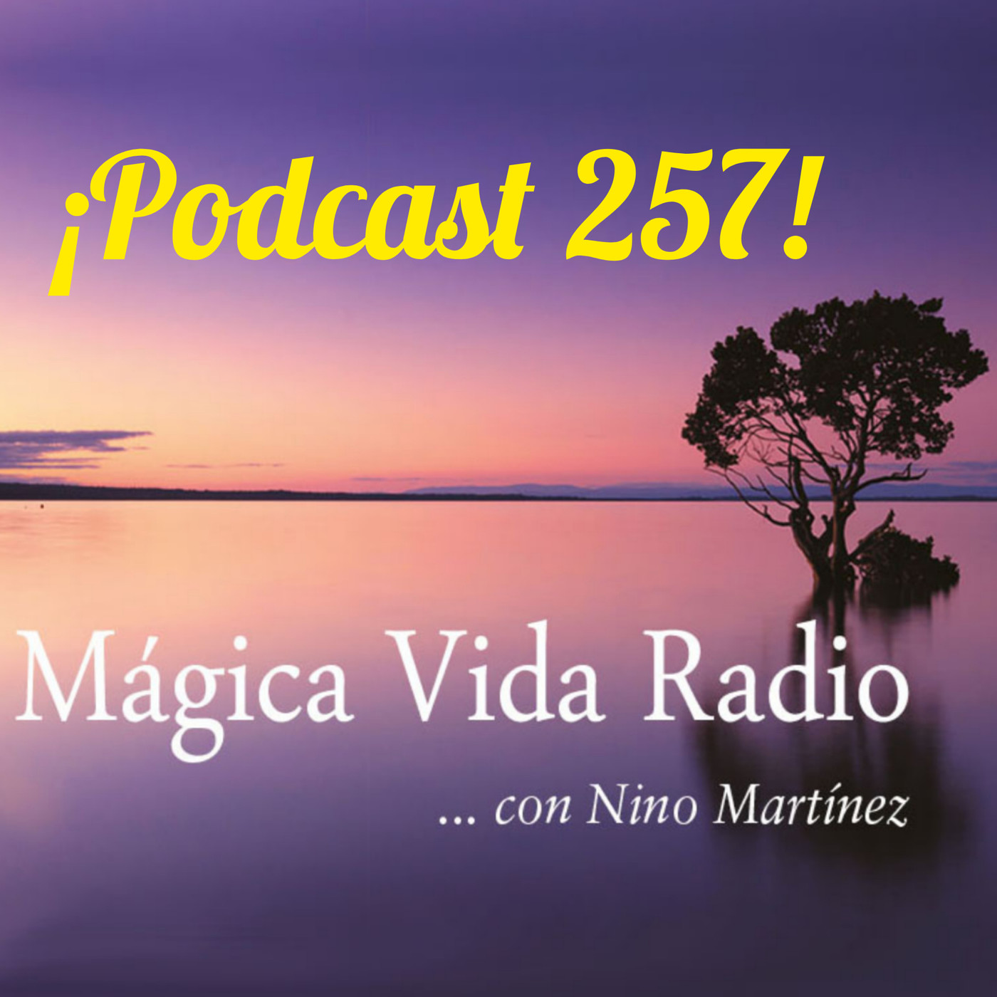Mágica Vida Radio