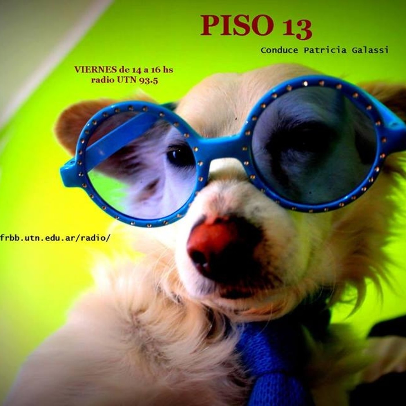 Piso 13