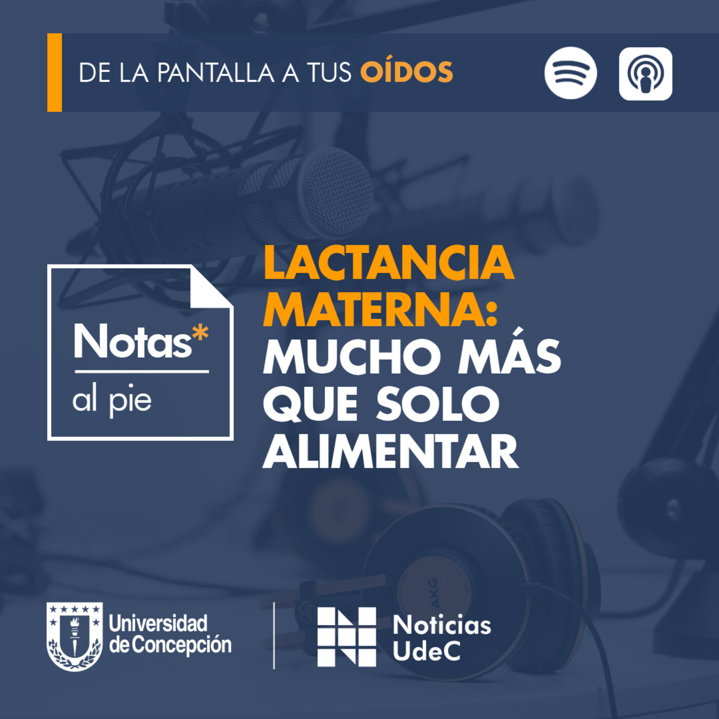 Notas al pie