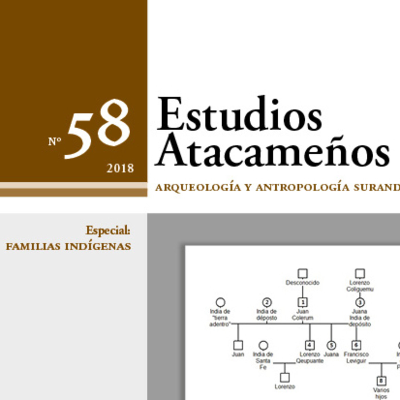 Estudios Atacameños