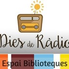 Activitats novembre 2018