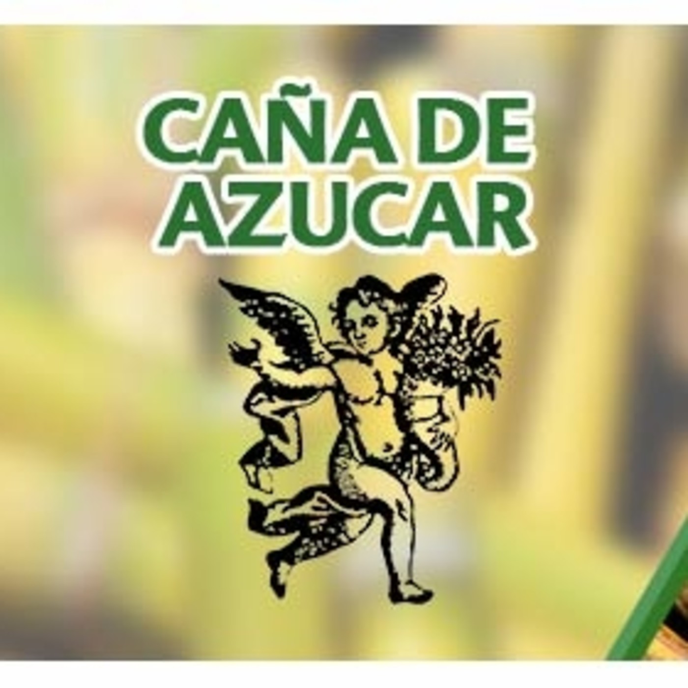 El Ángel de tu Salud - CAÑA DE AZUCAR* episode artwork