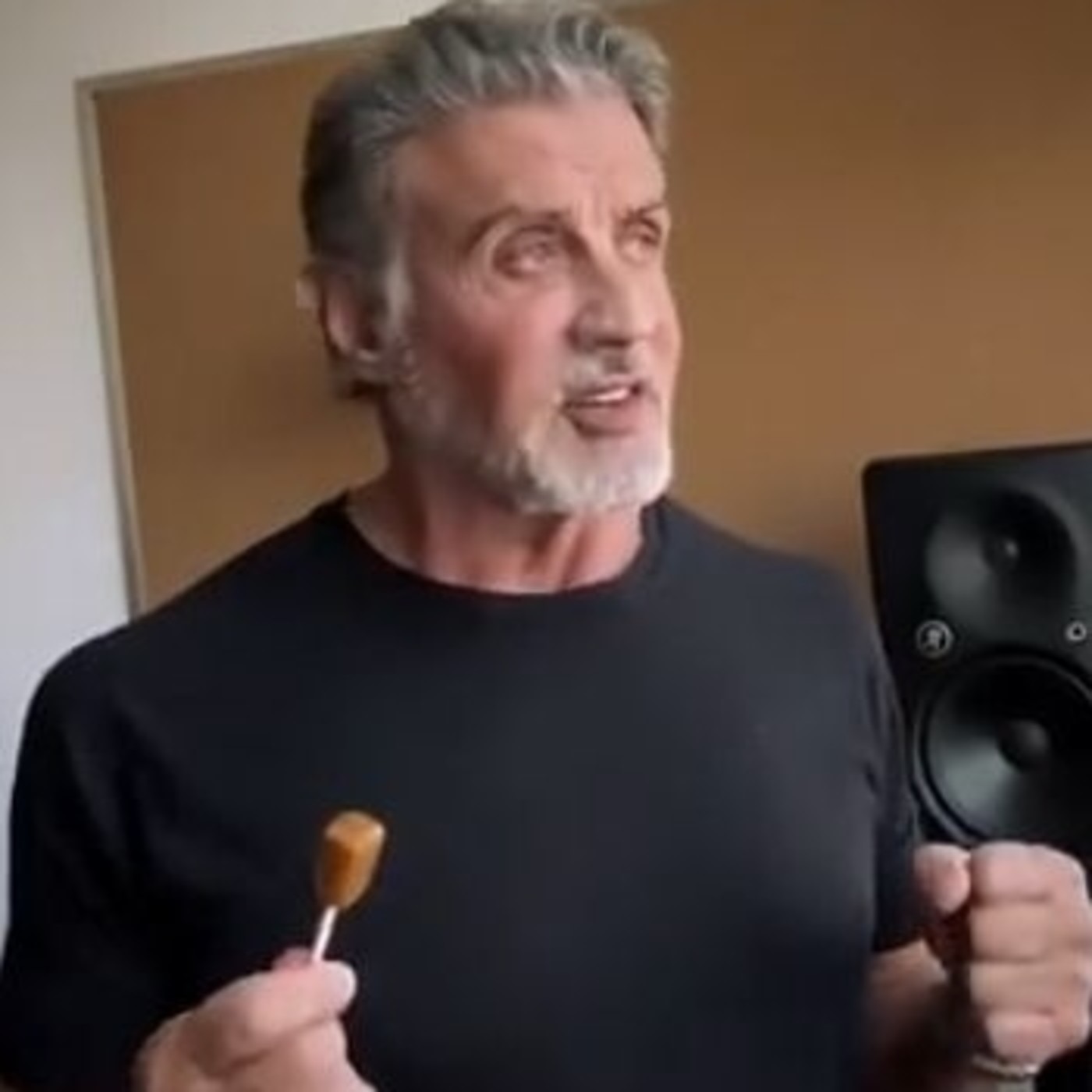 Stallone de mi vida