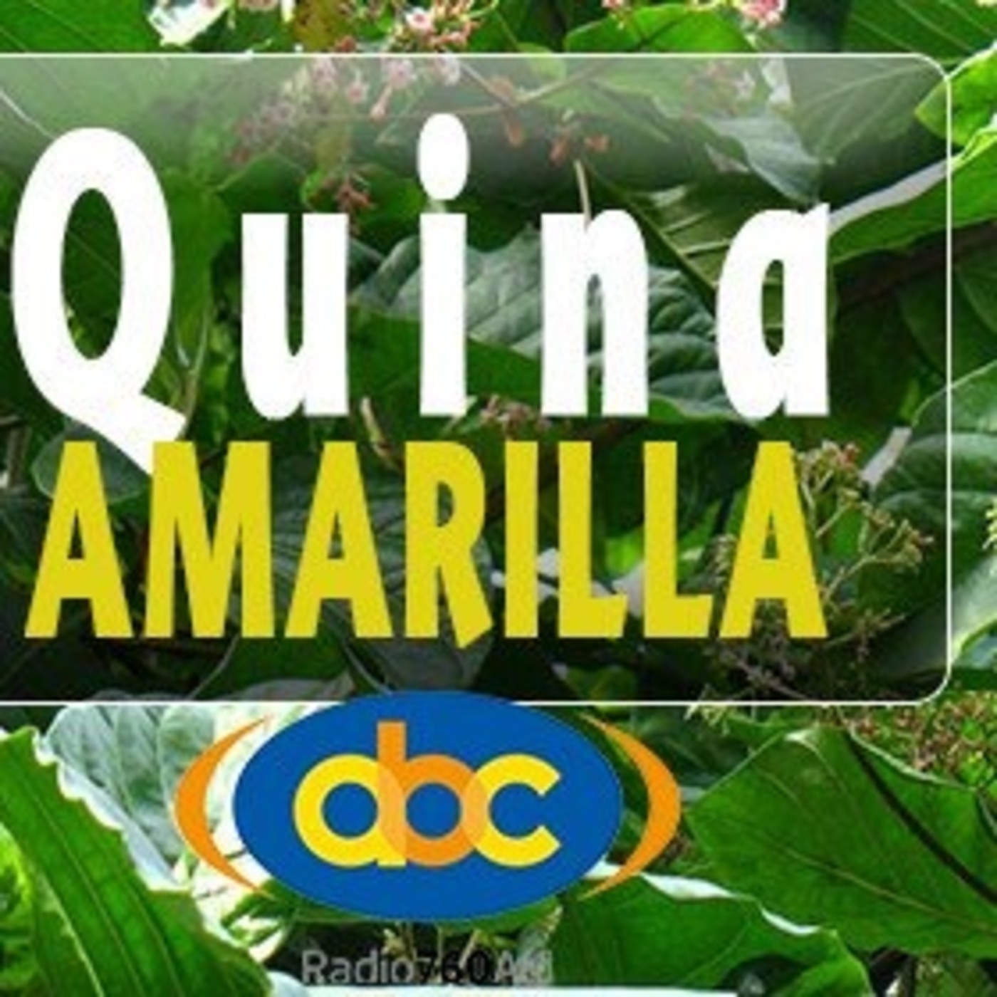 El Ángel de tu Salud - QUINA AMARILLA II episode artwork