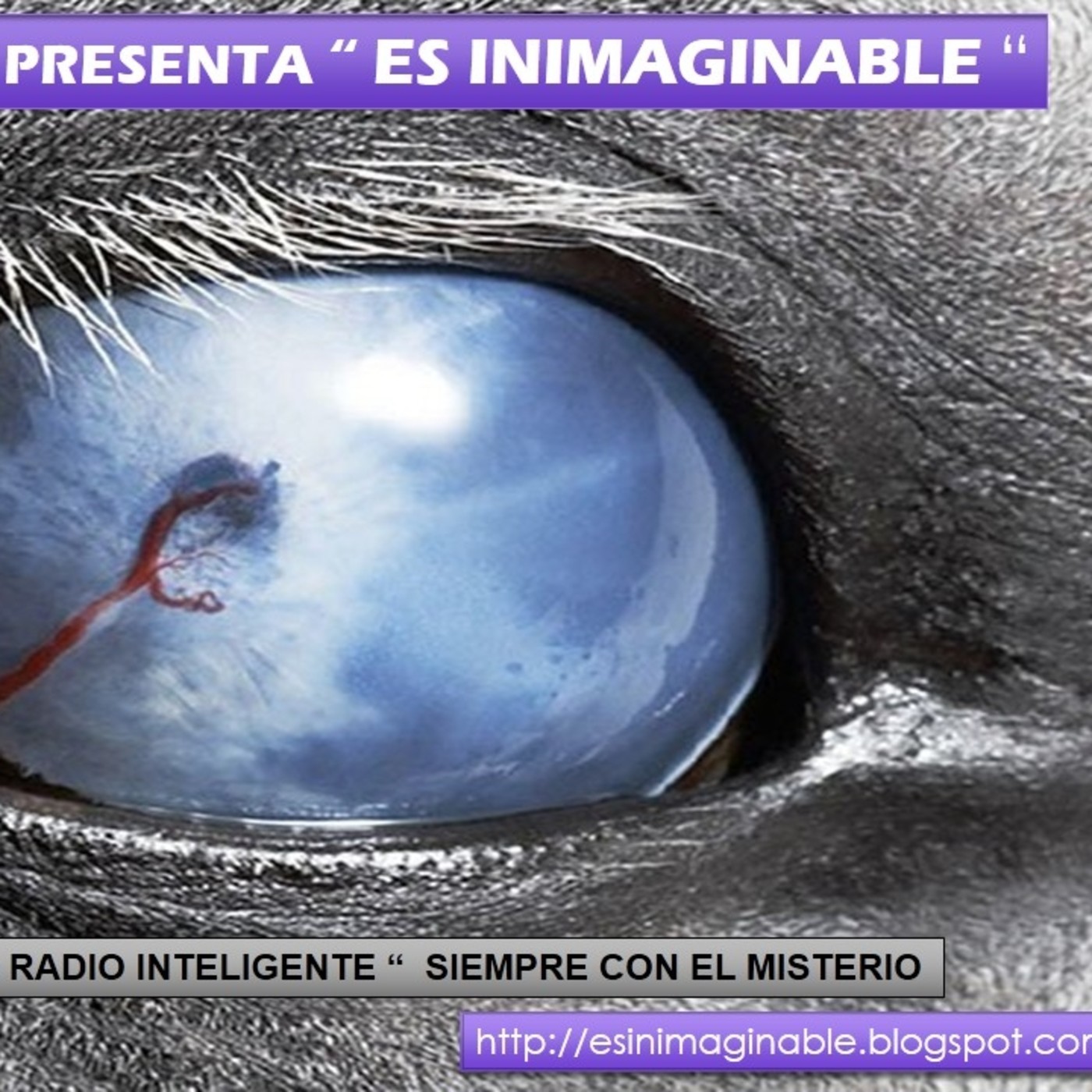 Podcast RADIO TORREPARAISO