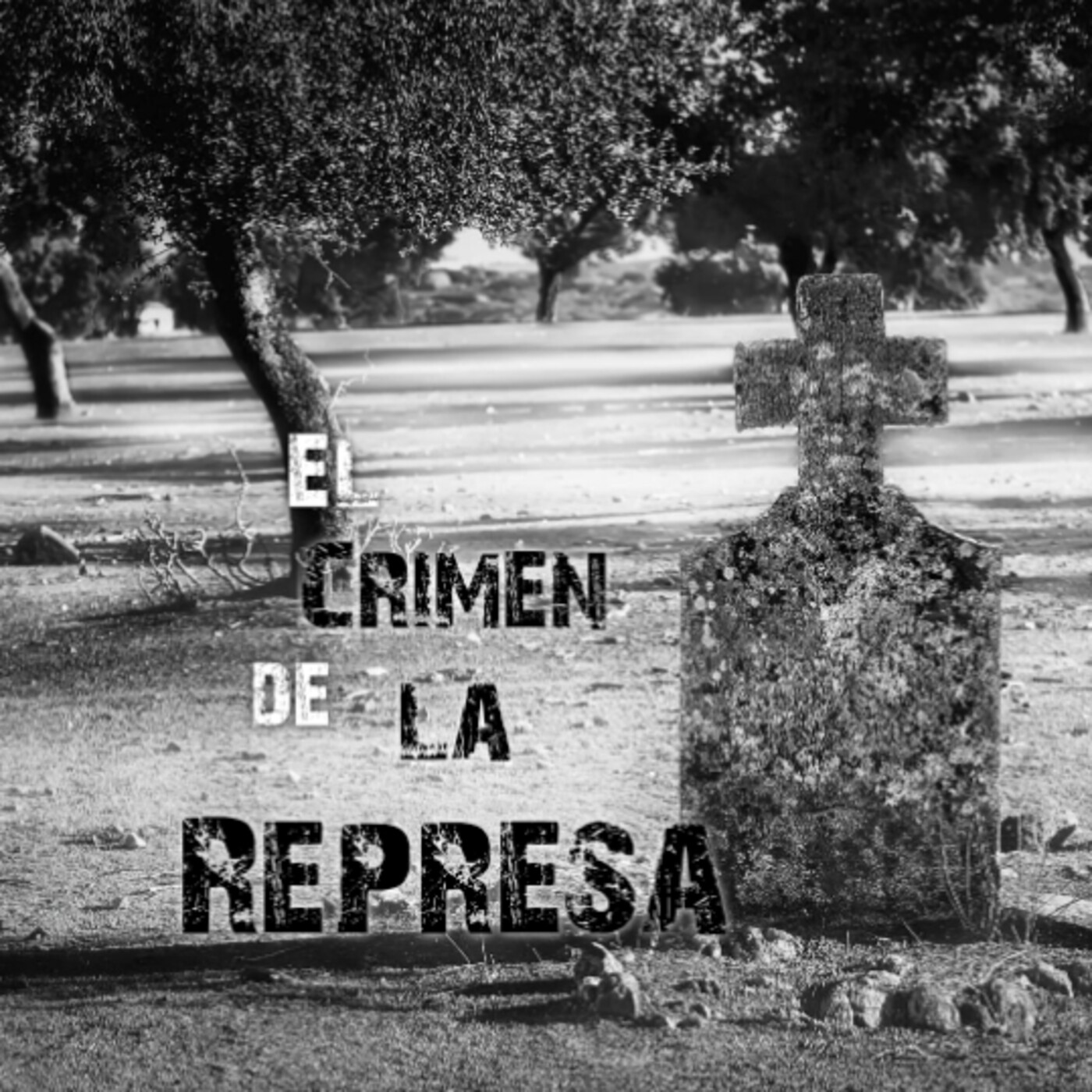 Diego C. Pedrera