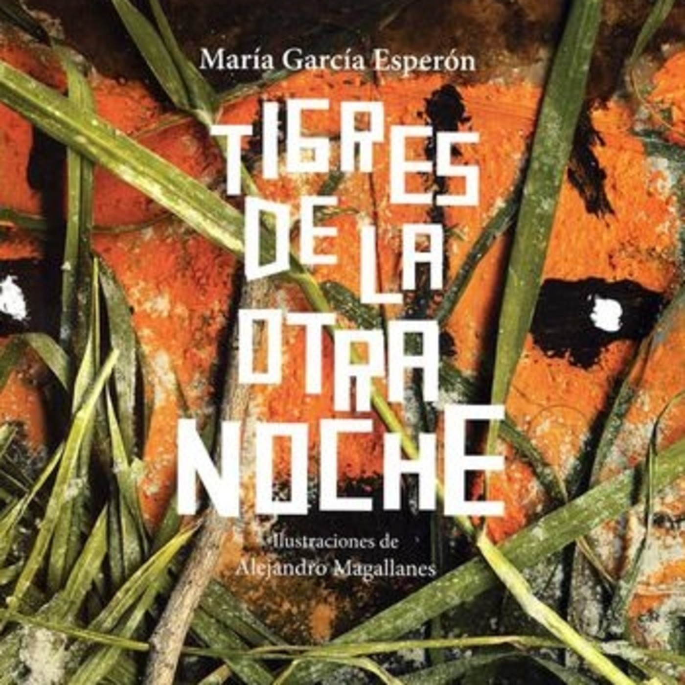 La importancia de Leer con nuestros hijos