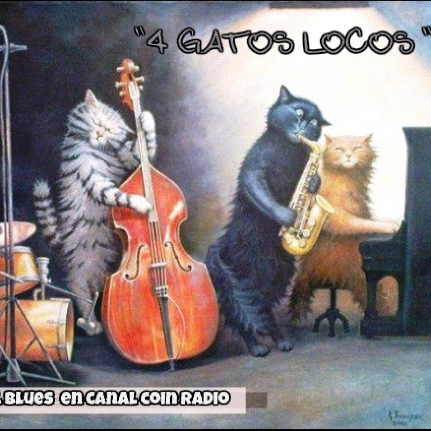 4 gatos locos