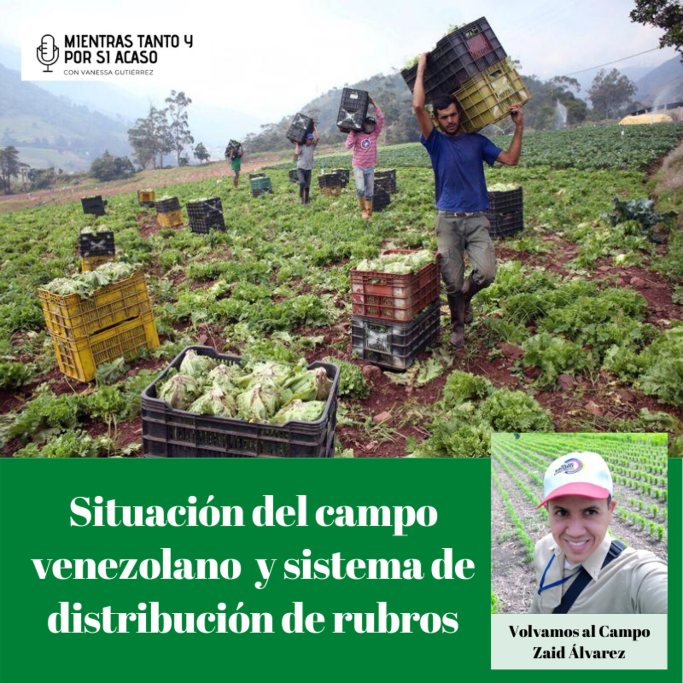 Columna Volvamos al Campo