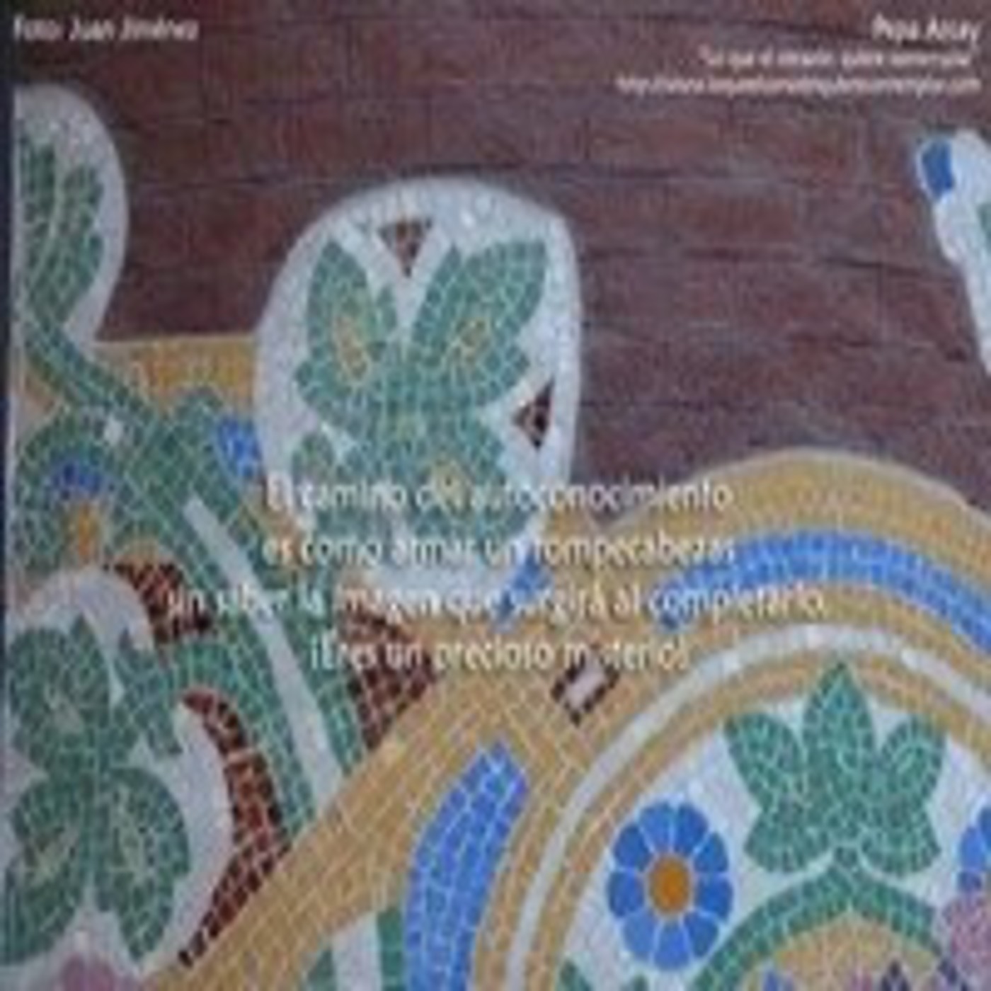 Audioblog Ola a Ola Caracola