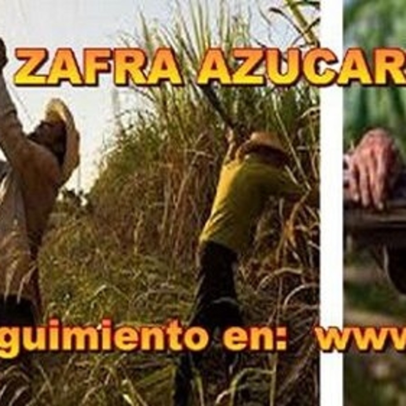 La zafra azucarera en Santiago de Cuba