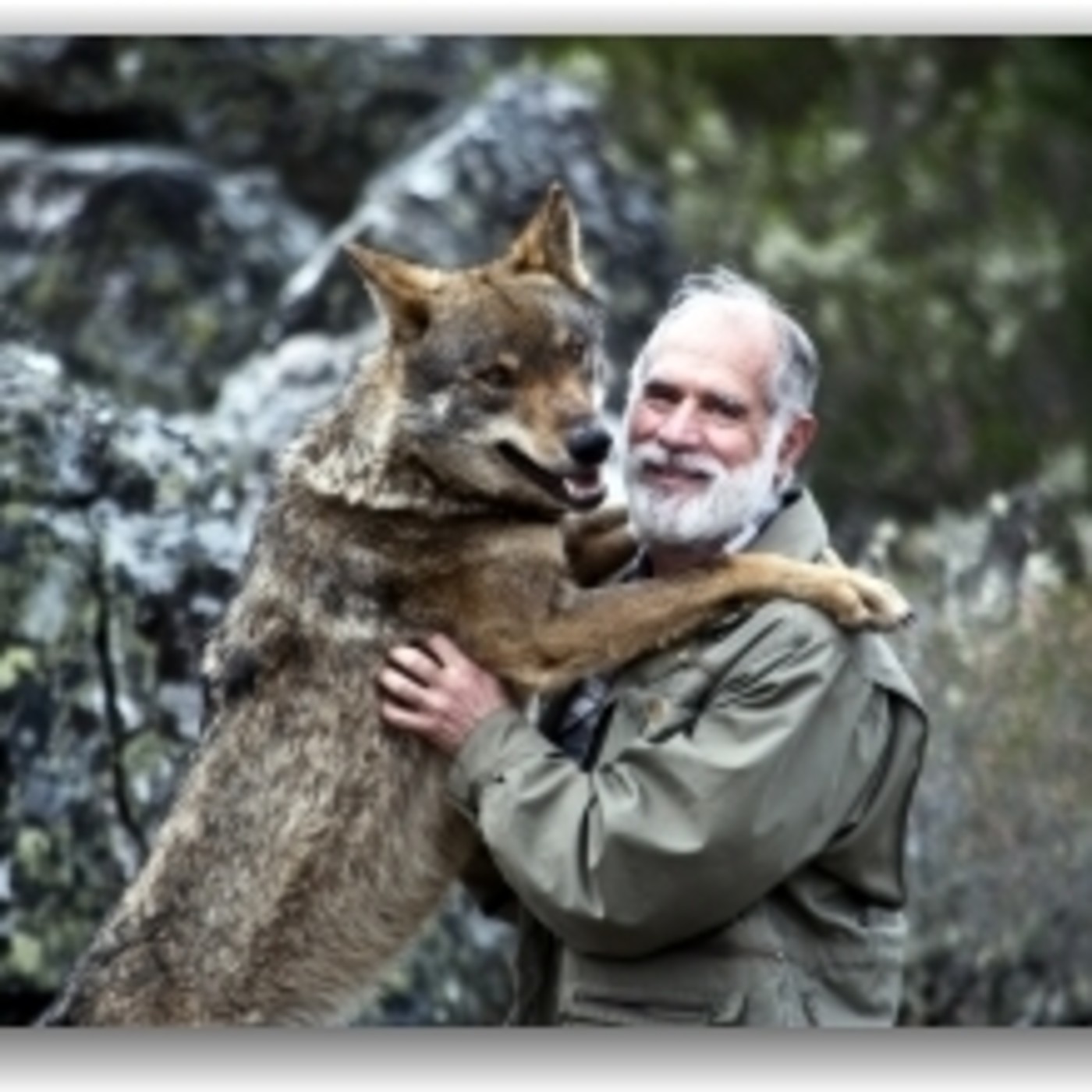 Podcast CARLOS SANZ - AMIGO LOBO