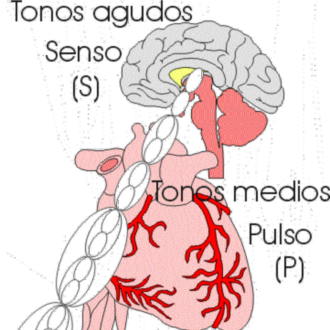 Podcast hospital virtual