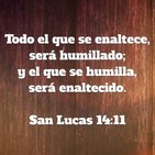 Domingo XXII T.O