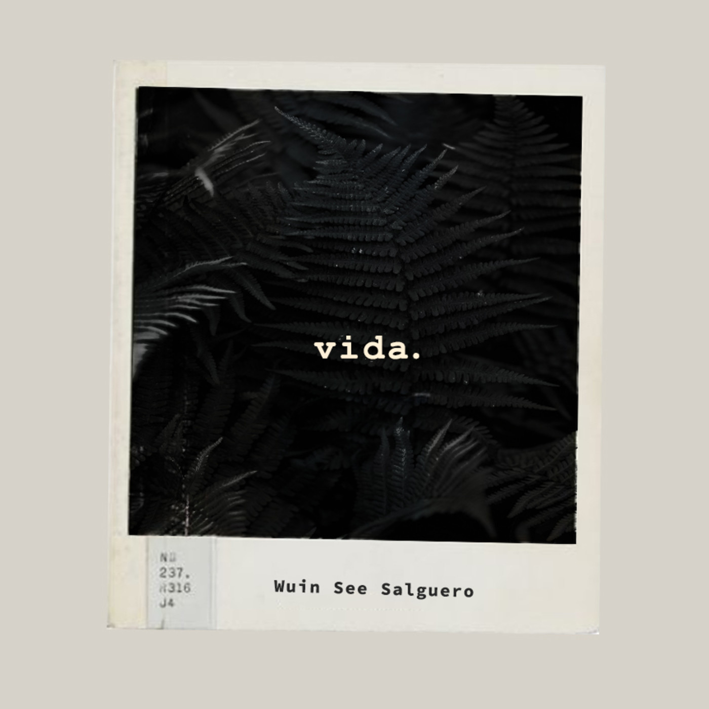 Vida - TP 1