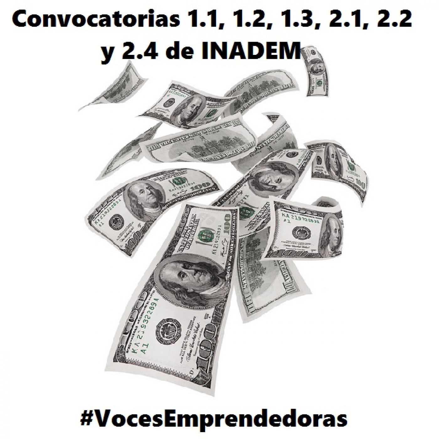 Voces Emprendedoras