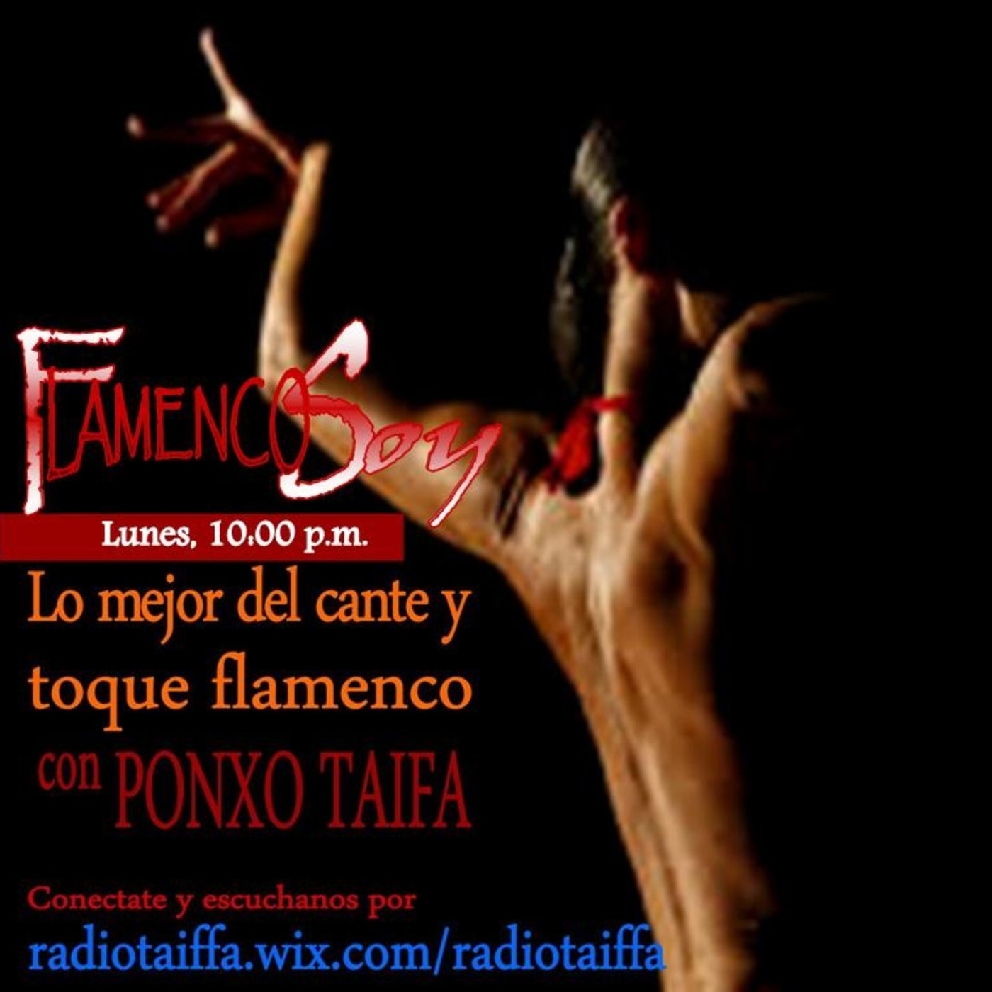 FLAMENCO SOY