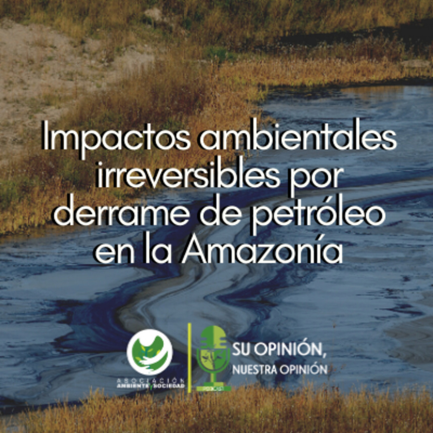 Asociación Ambiente y Sociedad