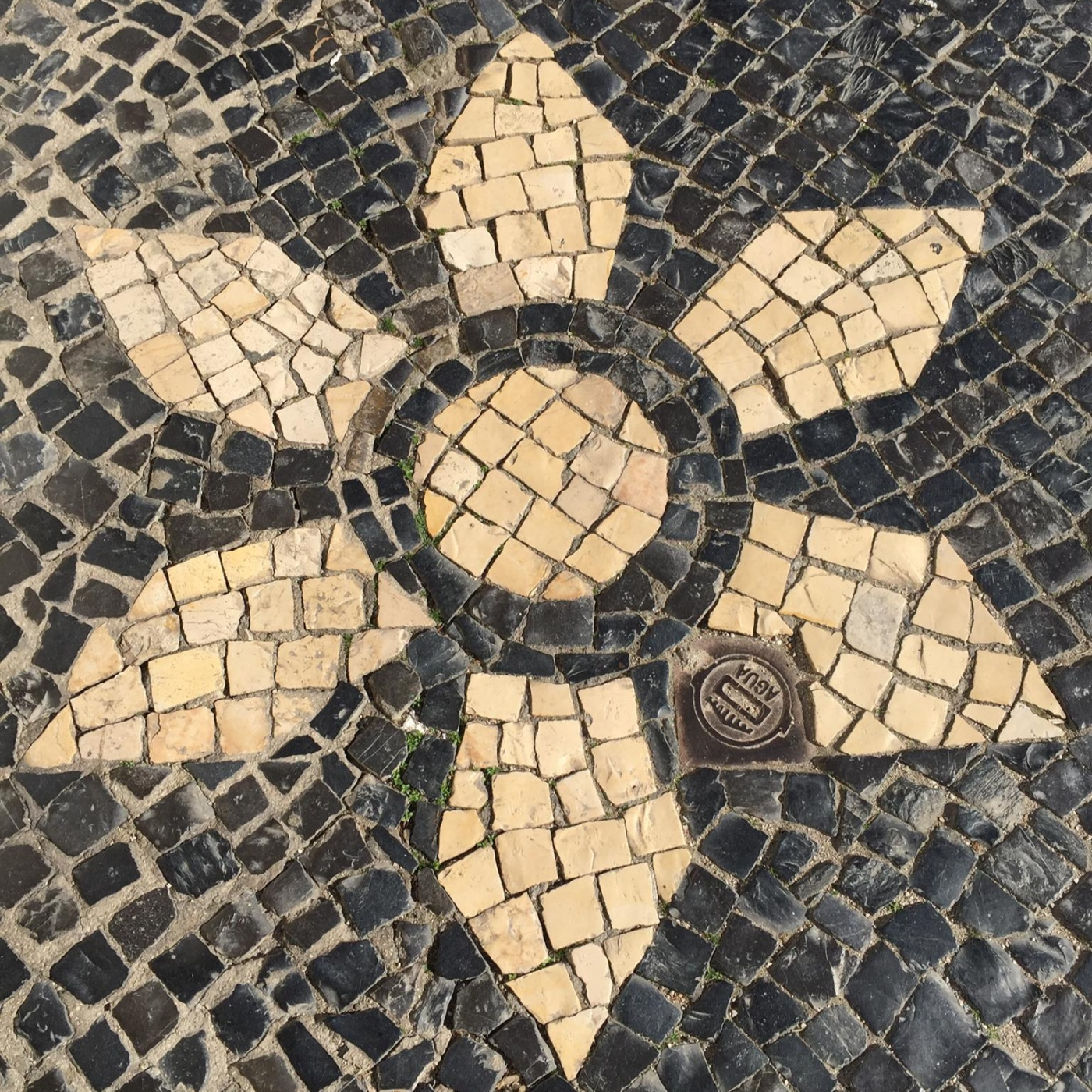 Os cantos do vagalume