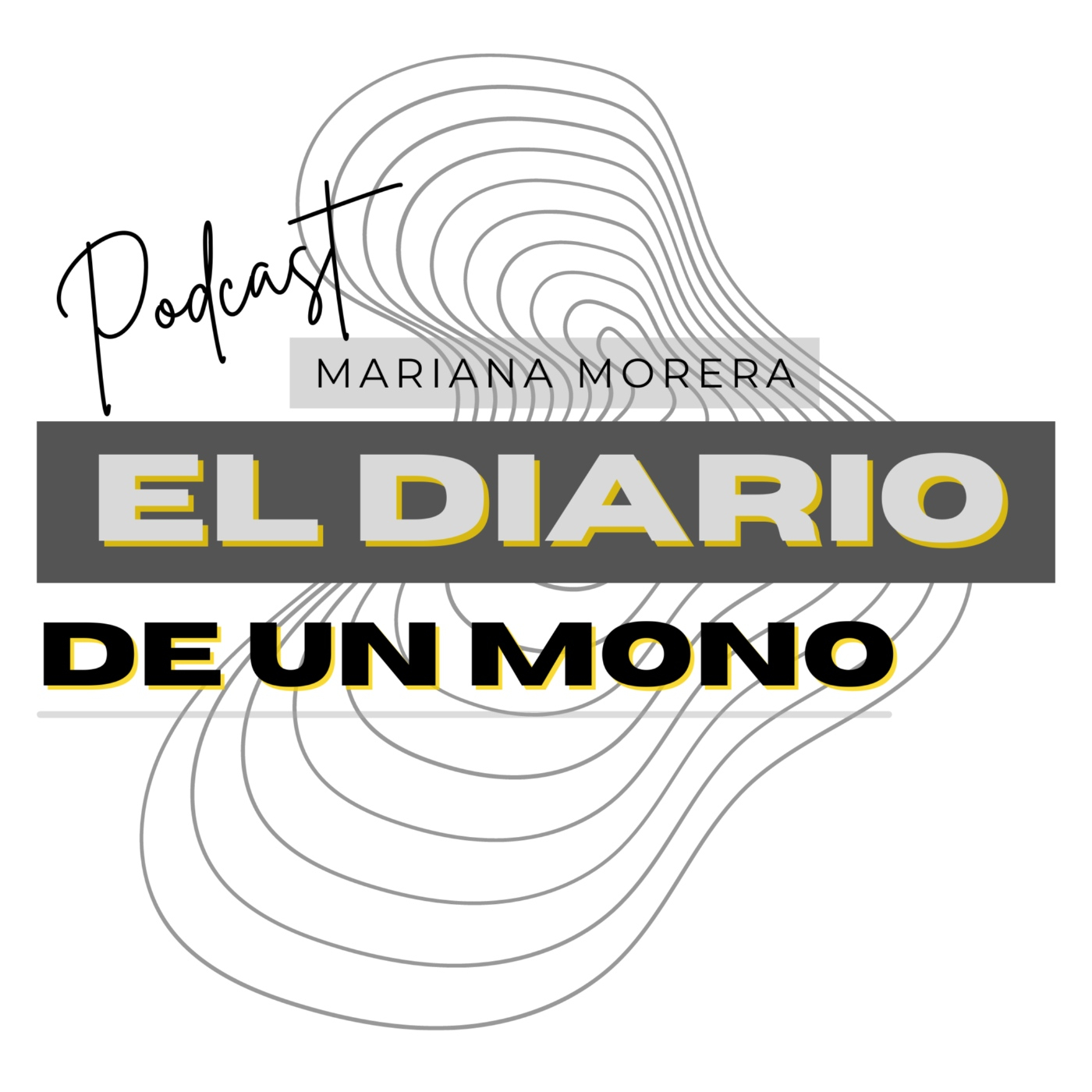 El Diario de un artista