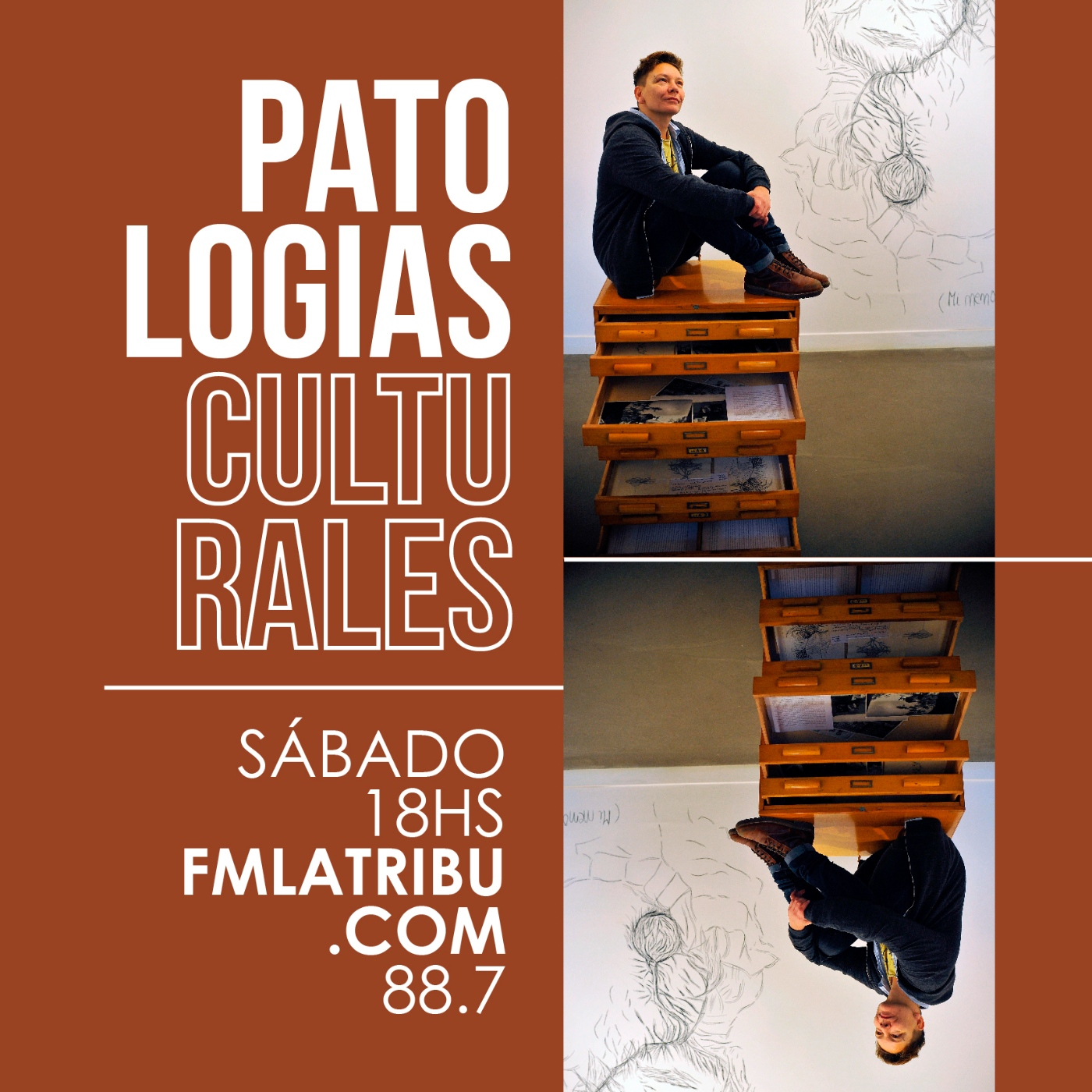 Patologías Culturales