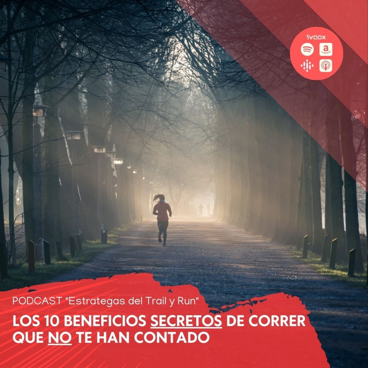 Estrategas del Trail y Run