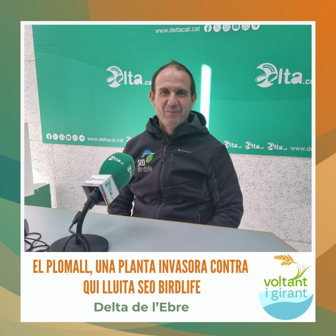 El plomall, una planta invasora contra qui lluita SEO BirdLife episode artwork