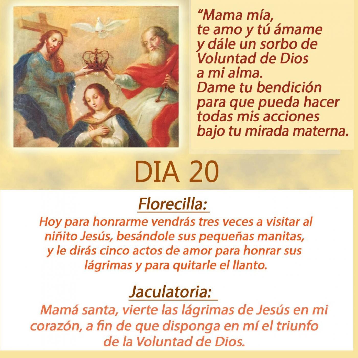 DIVINA VOLUNTAD CONSAGRACION A LA REINA DEL CIELO