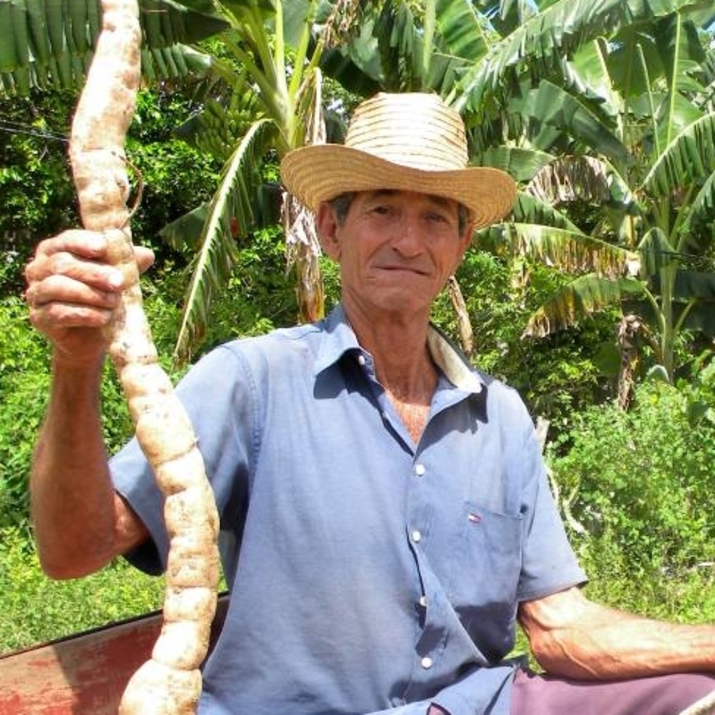 La bondad de un campesino calixteño multiplica a favor de la vida episode artwork