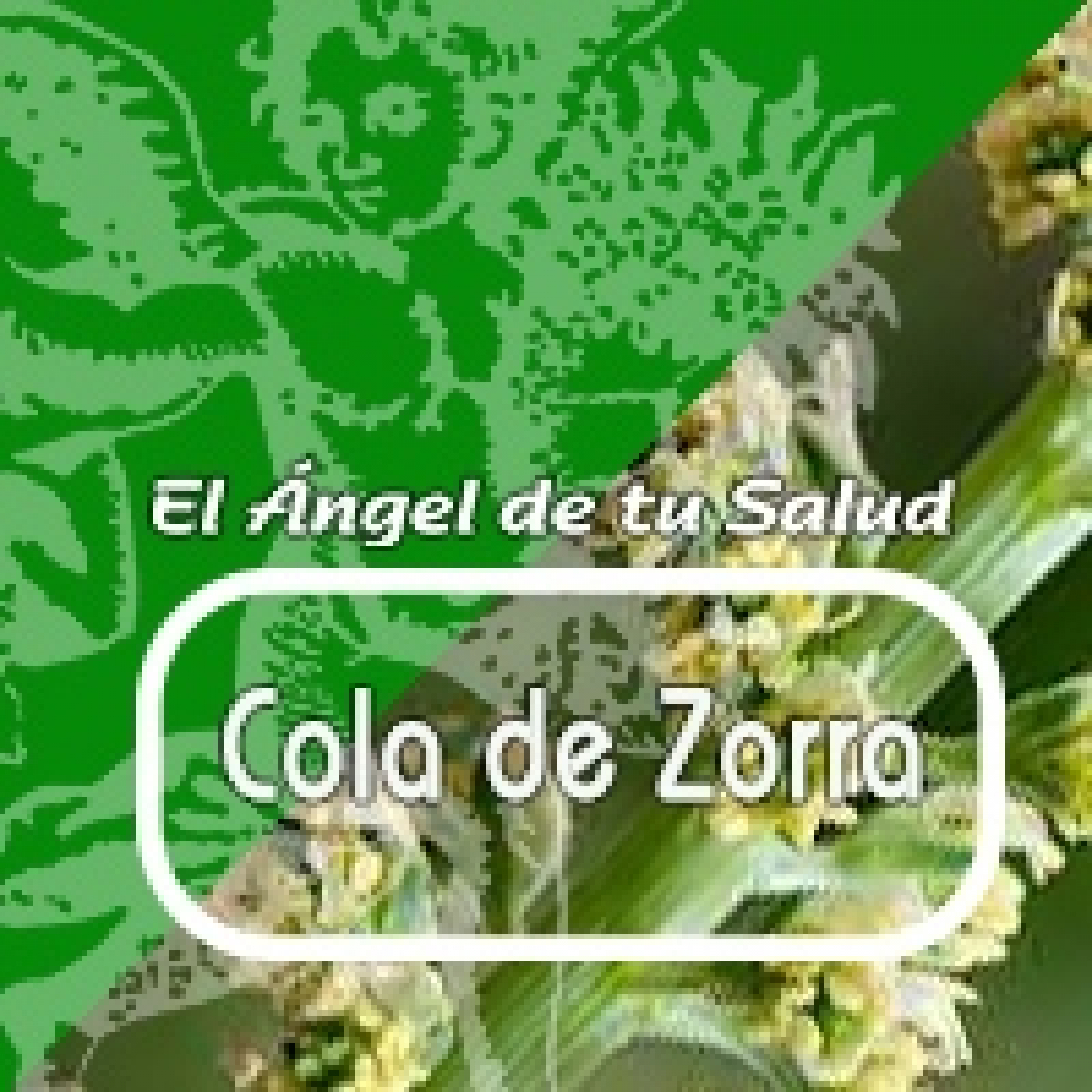 El Ángel de tu Salud - COLA DE ZORRA *** episode artwork