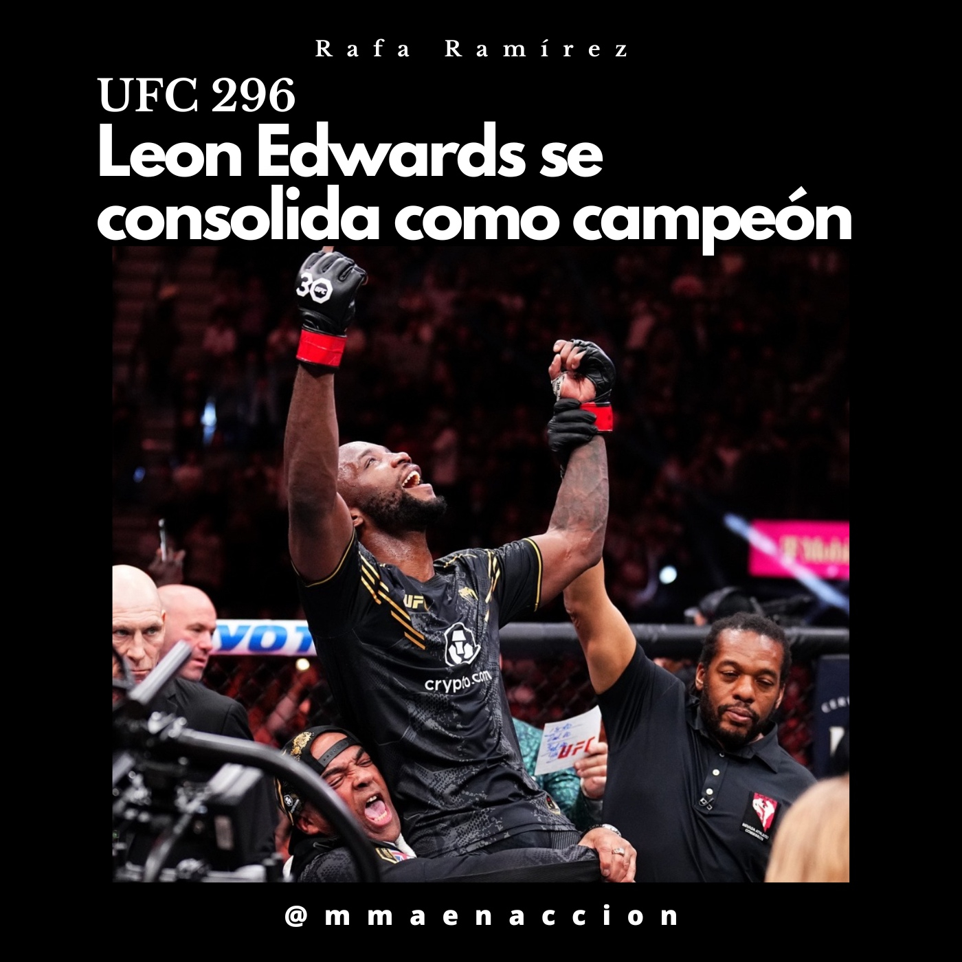 MMA en acción