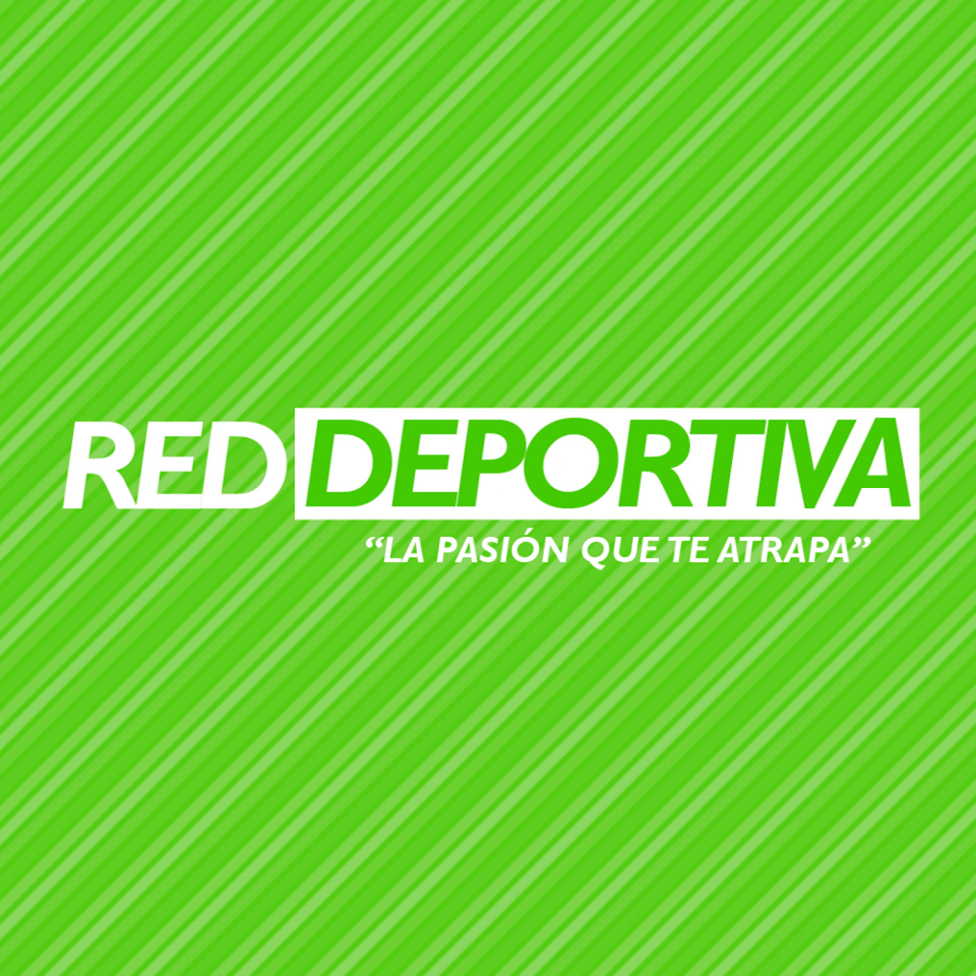 Partidos PrimeraB