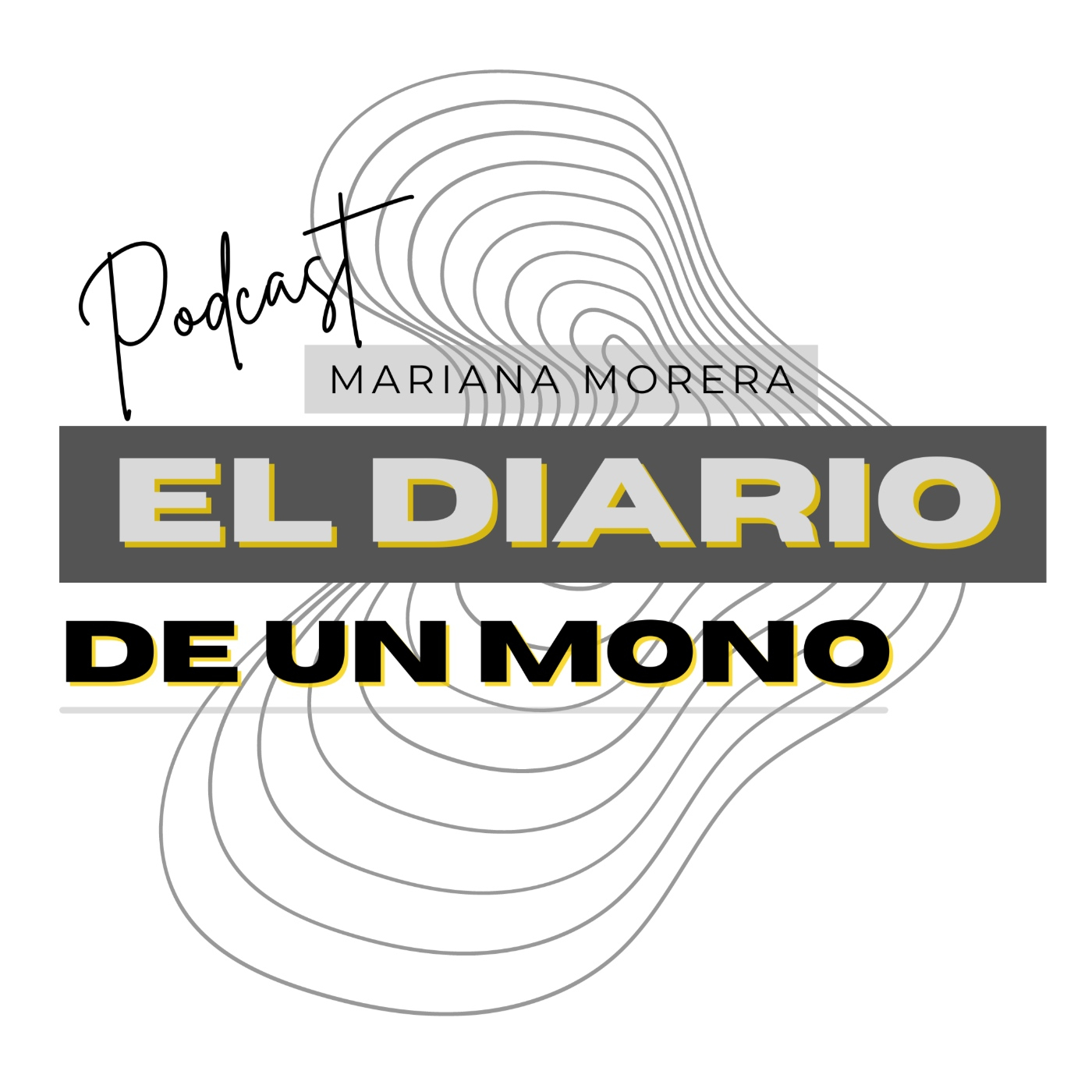 El Diario de un artista