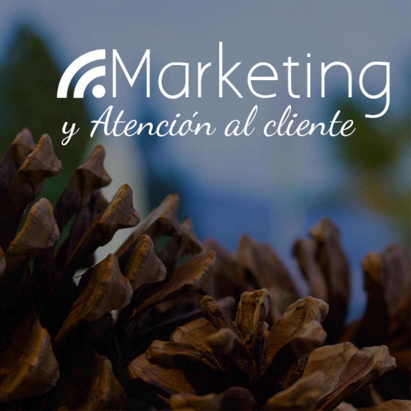 Marketing y Mucho Más