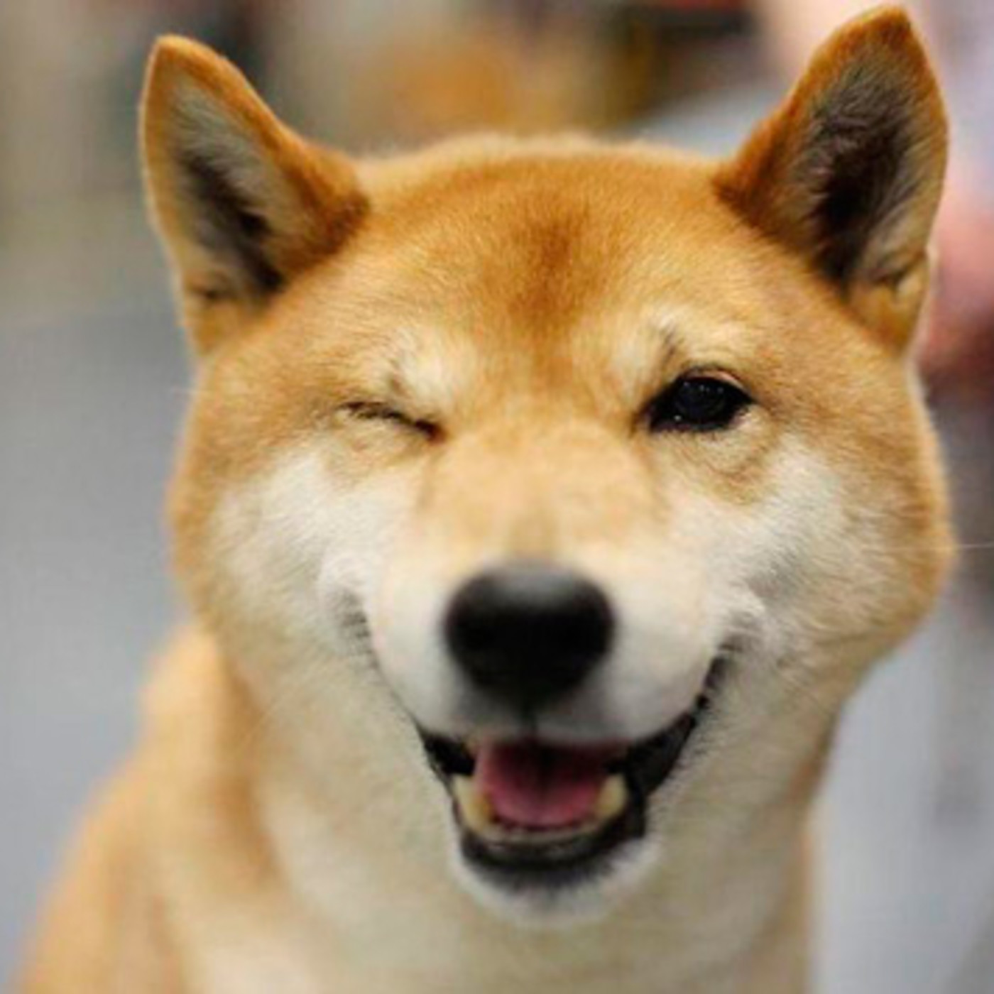 Podcast de Fm Bitacora