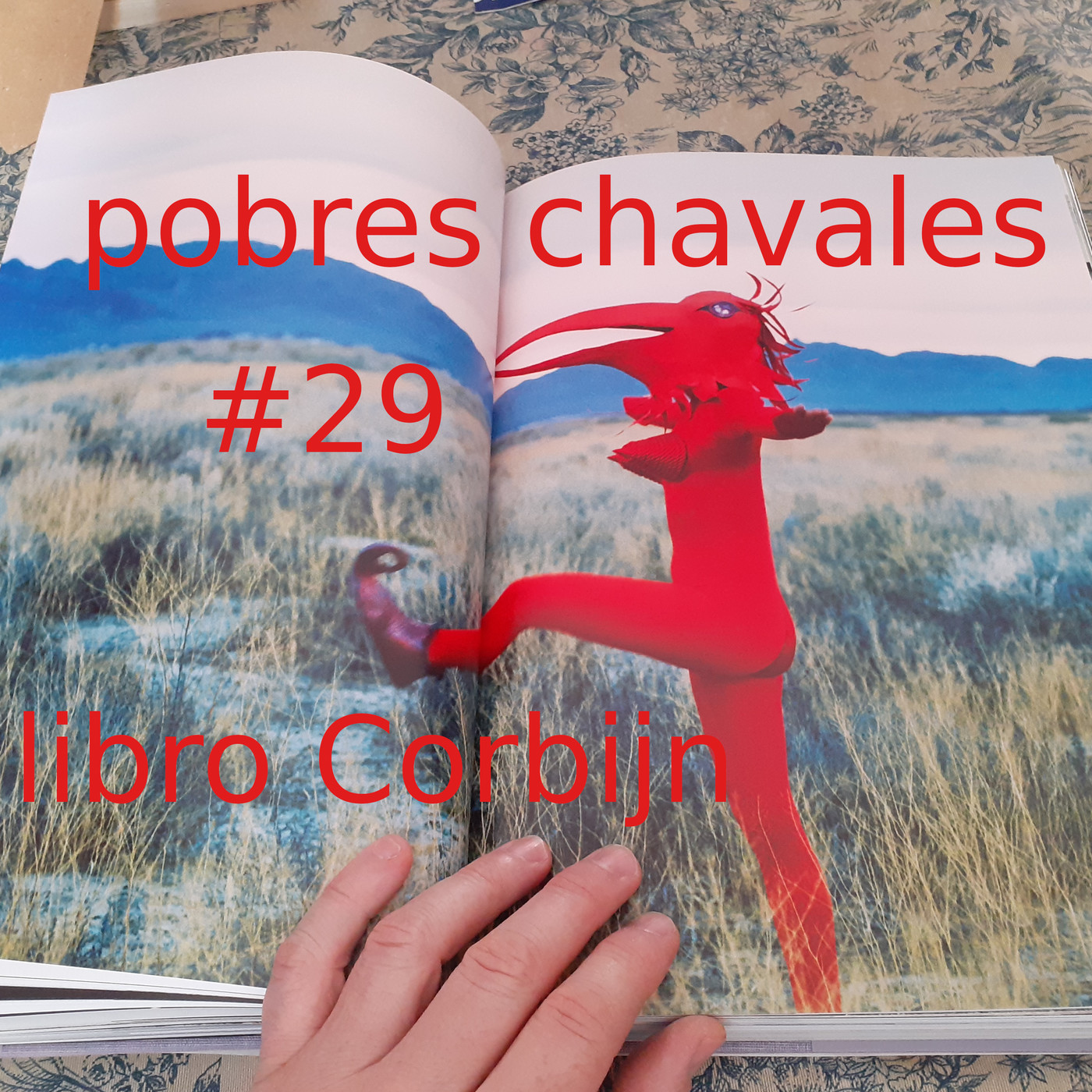 Pobres Chavales
