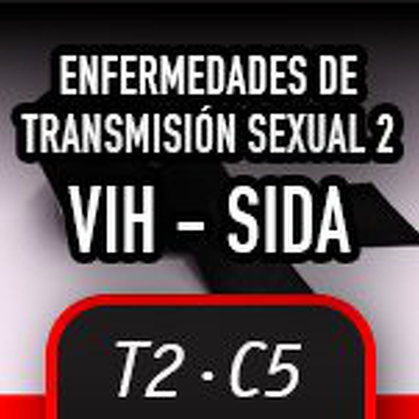 T2C5 - Enfermedades de transmisión sexual VIH/SIDA