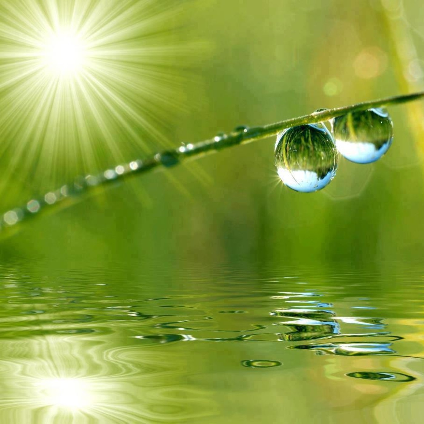 Brahma Kumaris Valencia