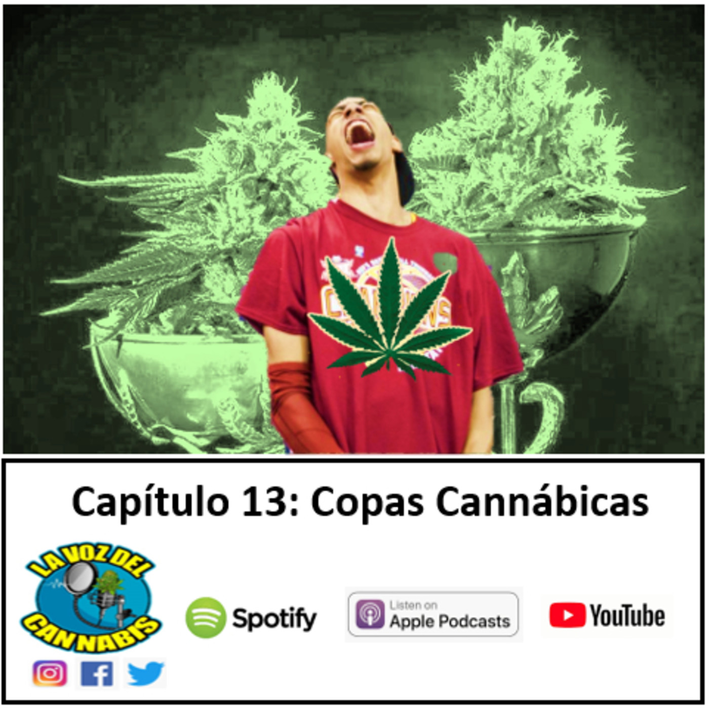 La Voz del Cannabis